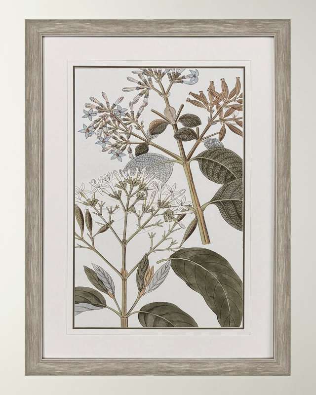 "Flowering Botanical II" Framed Giclee on Paper